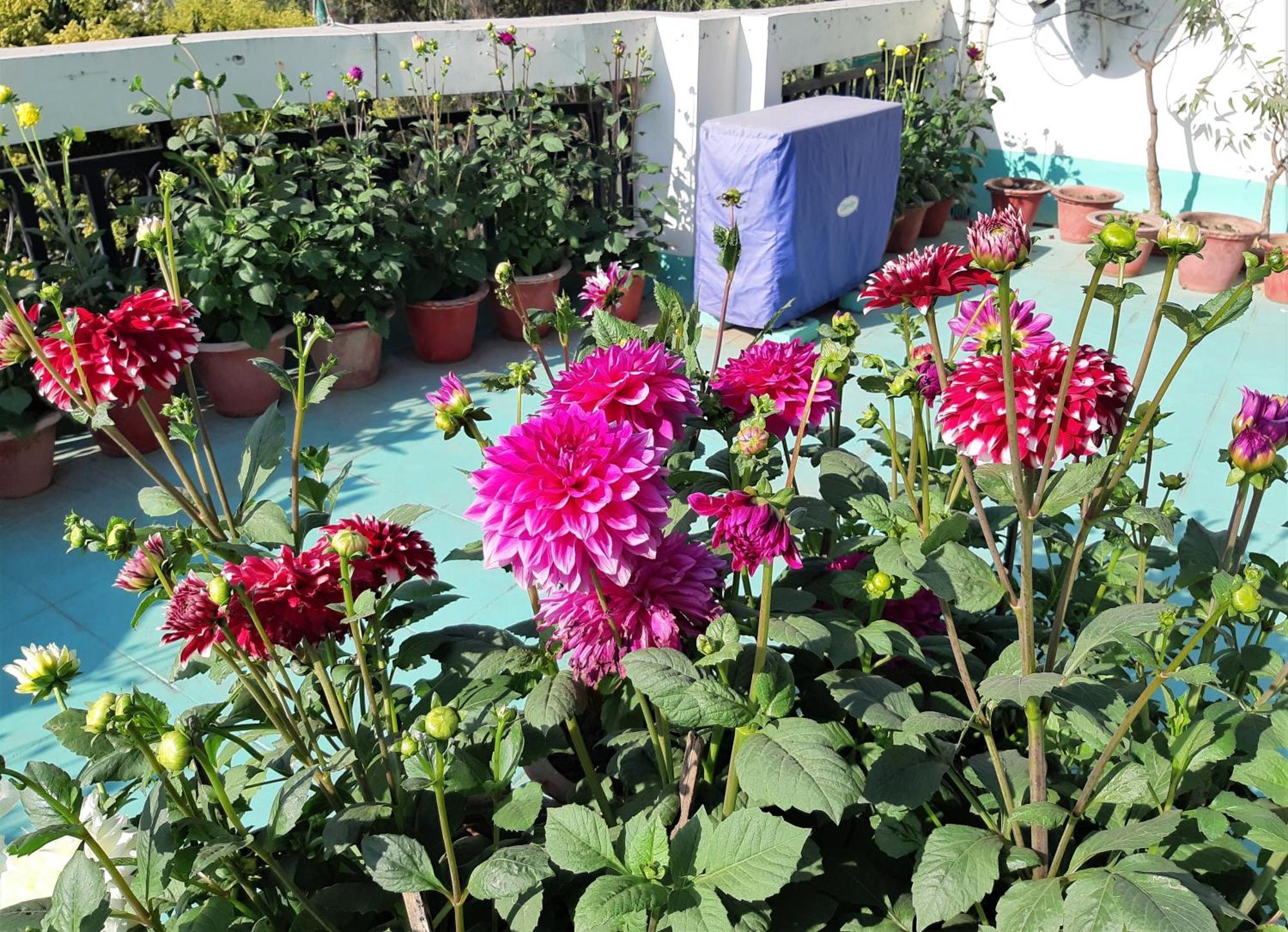 Fully Furnished Ish, Atithya Homestay With Various Amenities And Free Services In Lucknow, India Екстериор снимка