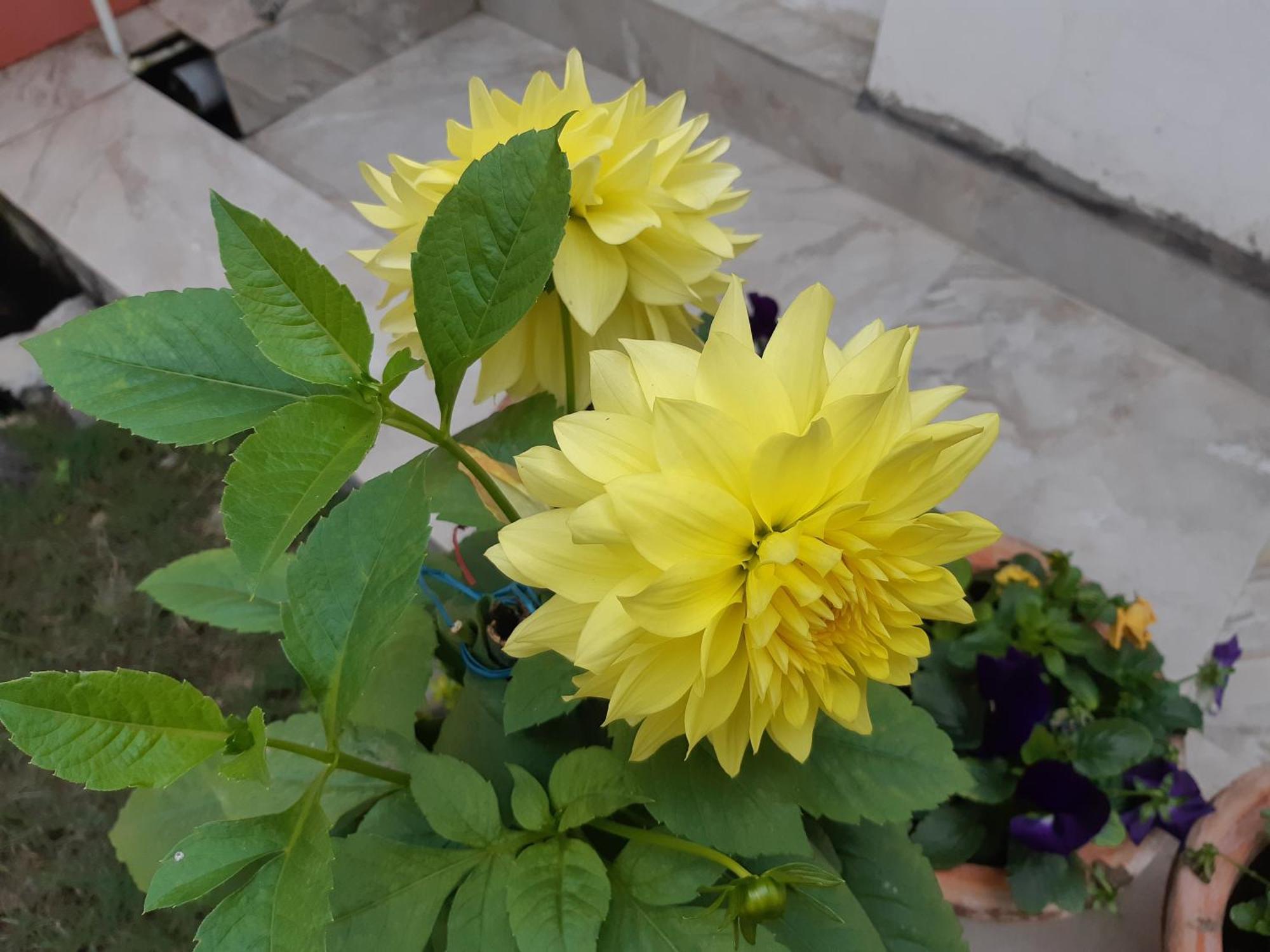 Fully Furnished Ish, Atithya Homestay With Various Amenities And Free Services In Lucknow, India Екстериор снимка